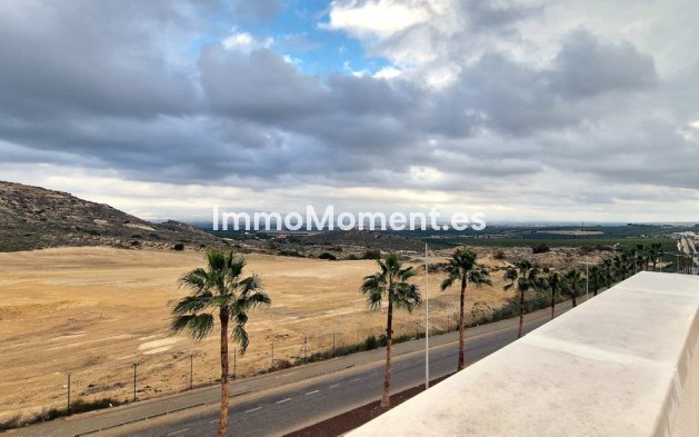 Bestaande woning - Vrijstaande villa - Algorfa - Algorfa Centro