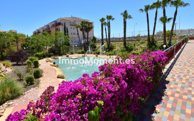 Bestaande woning - Appartement - Orihuela - Playa Flamenca