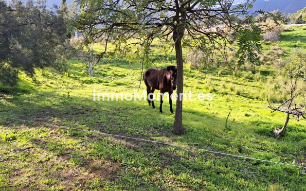 Bestaande woning - Landhuis - Mijas - Entrerrios