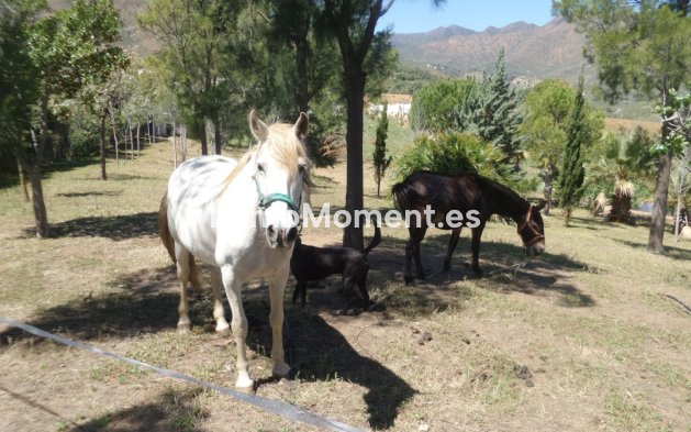 Bestaande woning - Landhuis - Mijas - Entrerrios