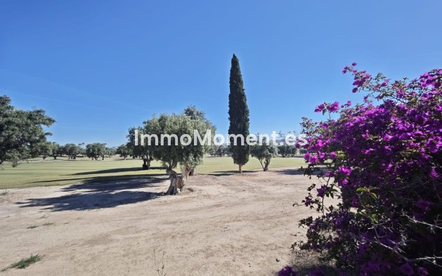 Wiederverkauf - Freistehende Villa - Algorfa - Algorfa Centro