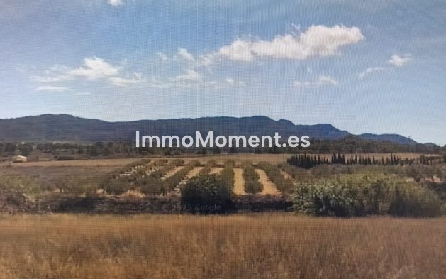 Bestaande woning - Landhuis - Lorca - Lorca Centro
