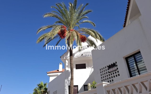 Revente - Appartement - Marbella - Nueva Andalucía