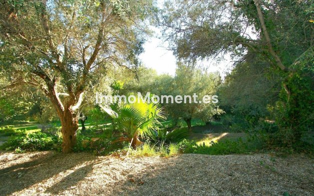 Wiederverkauf - Grundstück - Mijas - Mijas Centro