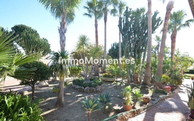 Wiederverkauf - Freistehende Villa - Benalmadena - Benalmadena Centro