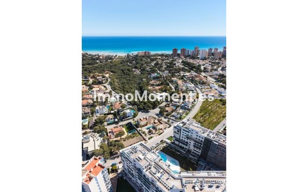 New Build - Detached villa - Dehesa de Campoamor