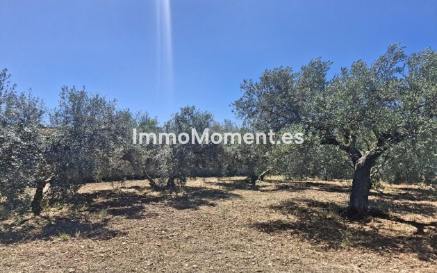 Resale - Country house - Málaga - Campanillas