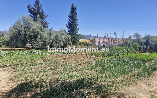 Resale - Country house - Málaga - Campanillas