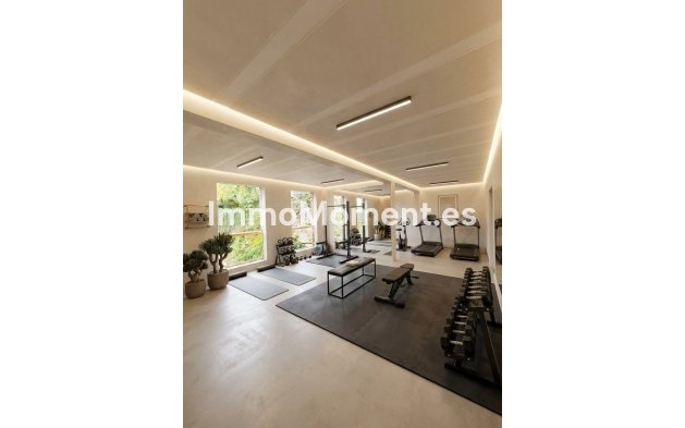 Construction neuve - Penthouse - New Golden Mile