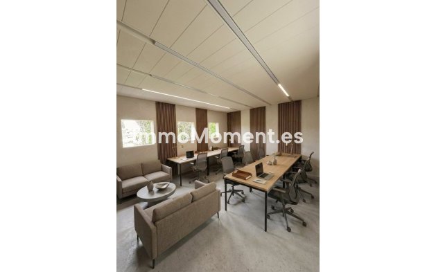Construction neuve - Penthouse - New Golden Mile