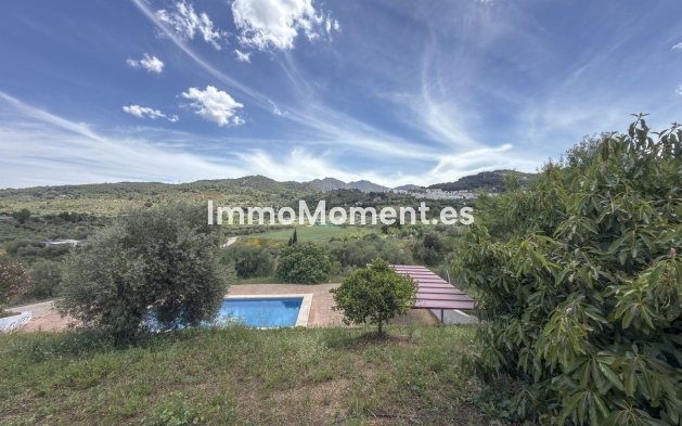 Reventa - Casa de campo - Interior  - Monda