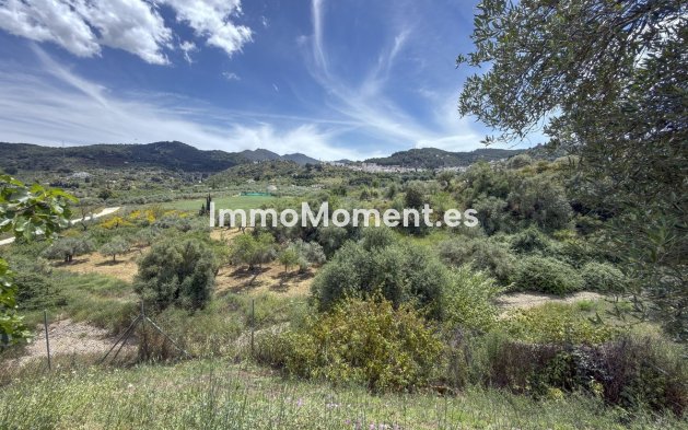Reventa - Casa de campo - Interior  - Monda