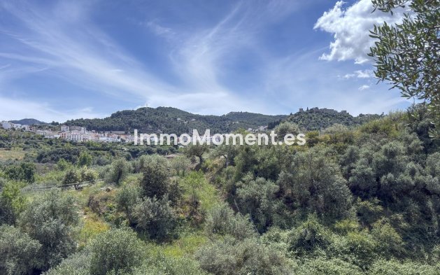 Reventa - Casa de campo - Interior  - Monda