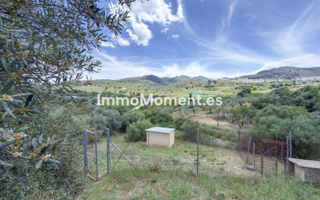 Reventa - Casa de campo - Interior  - Monda