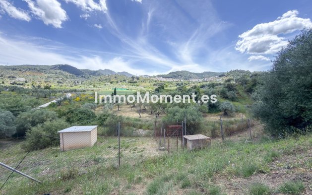 Reventa - Casa de campo - Interior  - Monda