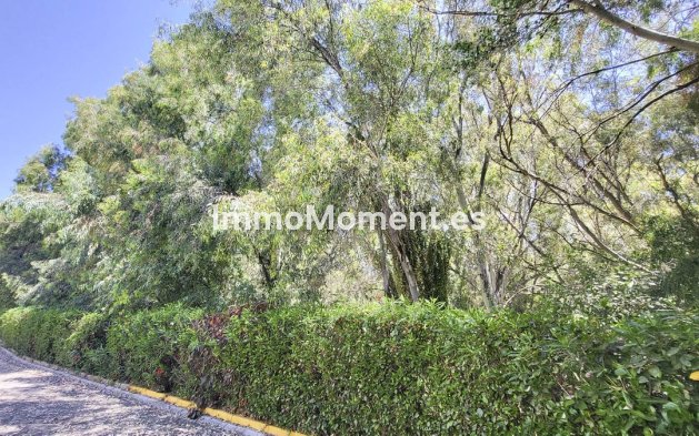 Wiederverkauf - Wohnung - Mijas - Calahonda