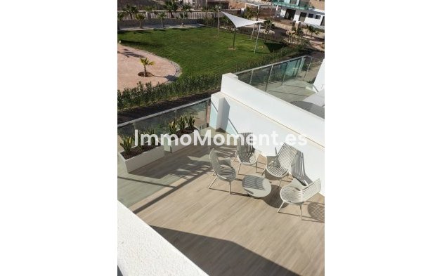 Obra nueva - High-bungalow - Orihuela Costa