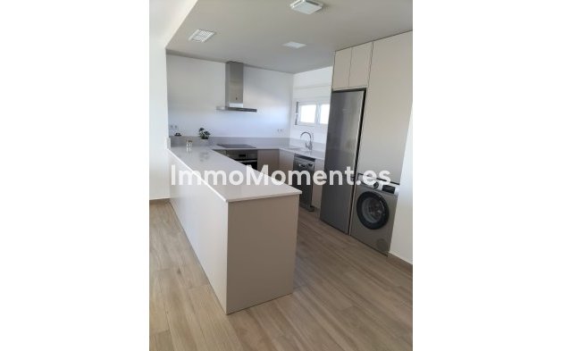 Obra nueva - High-bungalow - Orihuela Costa