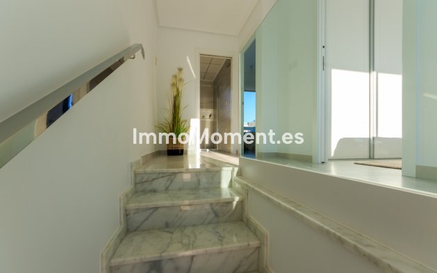 Construction neuve - Maison mitoyenne - Pilar de la Horadada