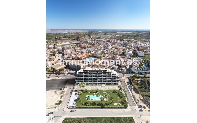 Neubau - Wohnung - San Miguel de Salinas