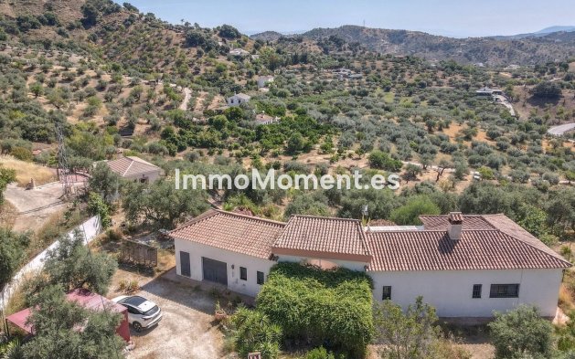 Revente - Villa individuelle - Intérieur                       - Monda