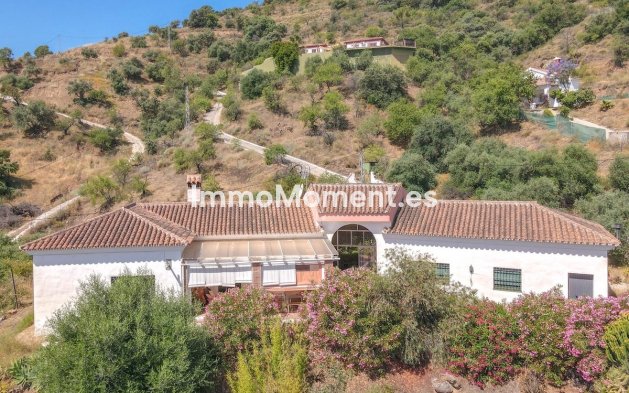 Revente - Villa individuelle - Intérieur                       - Monda