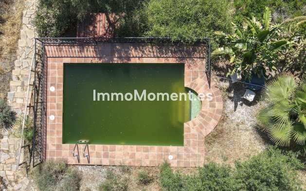 Revente - Villa individuelle - Intérieur                       - Monda