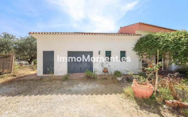 Revente - Villa individuelle - Intérieur                       - Monda