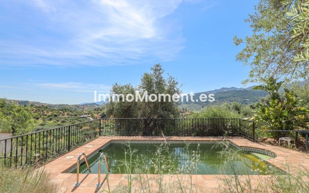 Revente - Villa individuelle - Intérieur                       - Monda