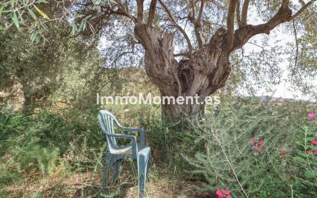 Revente - Villa individuelle - Intérieur                       - Monda