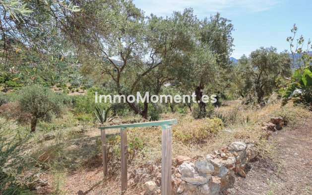 Revente - Villa individuelle - Intérieur                       - Monda