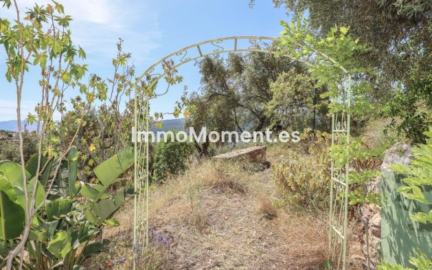 Revente - Villa individuelle - Intérieur                       - Monda