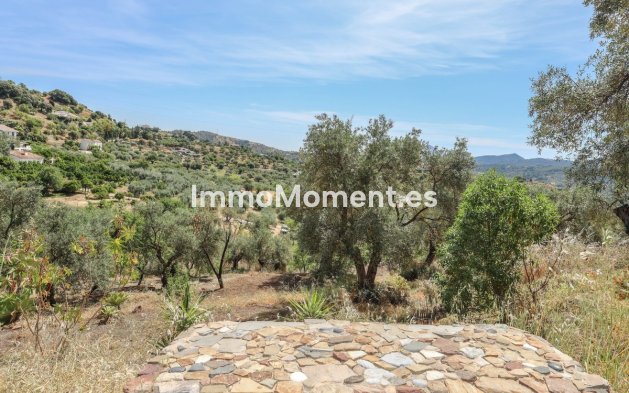 Revente - Villa individuelle - Intérieur                       - Monda