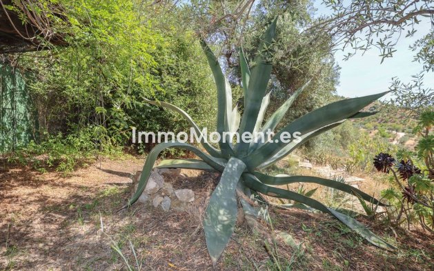 Revente - Villa individuelle - Intérieur                       - Monda