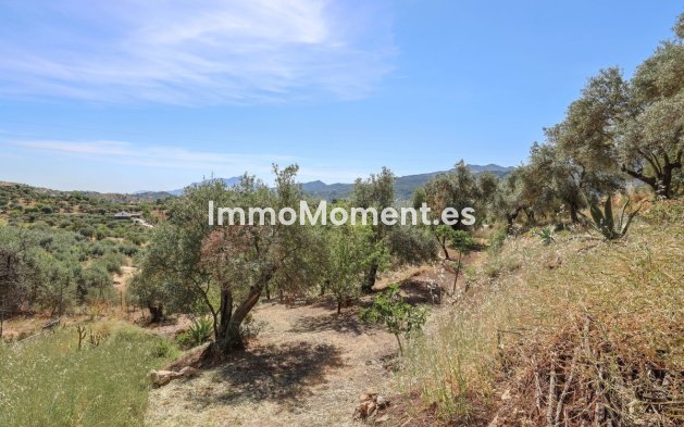 Revente - Villa individuelle - Intérieur                       - Monda