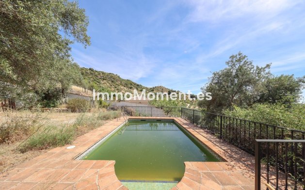 Revente - Villa individuelle - Intérieur                       - Monda