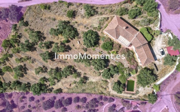 Revente - Villa individuelle - Intérieur                       - Monda