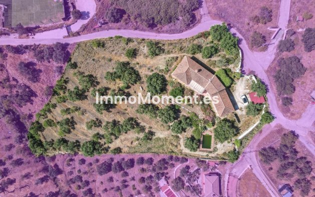 Revente - Villa individuelle - Intérieur                       - Monda