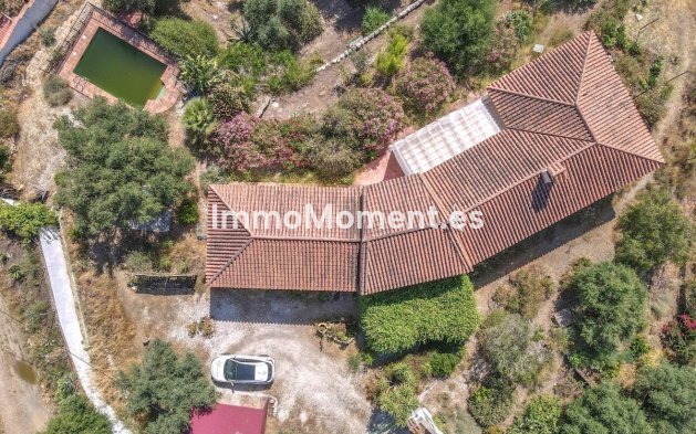 Revente - Villa individuelle - Intérieur                       - Monda