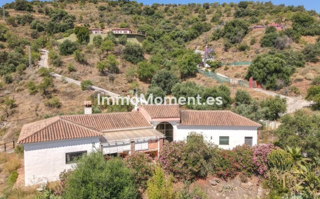 Revente - Villa individuelle - Intérieur                       - Monda