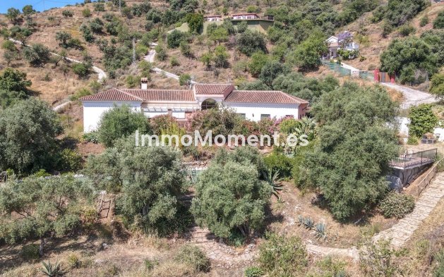 Revente - Villa individuelle - Intérieur                       - Monda