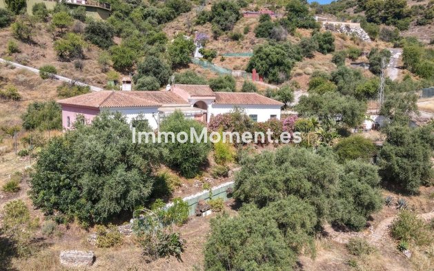 Revente - Villa individuelle - Intérieur                       - Monda