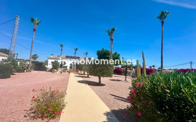 Resale - Detached villa - Catral - Catral Centro