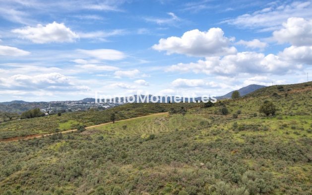 Wiederverkauf - Reihenhaus - Mijas - Mijas Golf