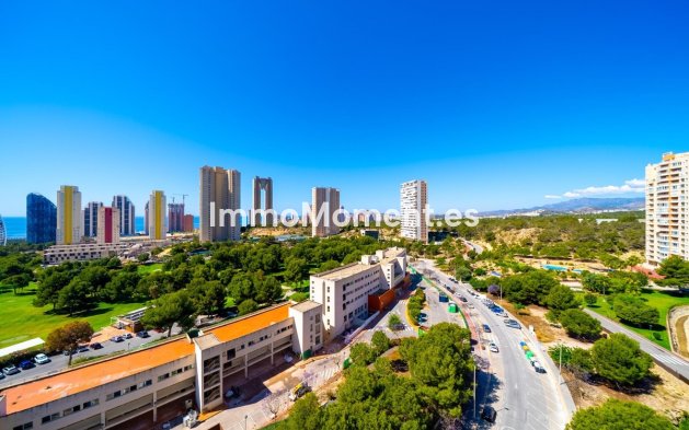 Wiederverkauf - Wohnung - Benidorm - Benidorm Centro