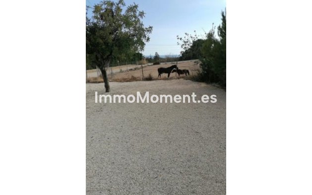 Wiederverkauf - Freistehende Villa - Villajoyosa - Villajoyosa Centro