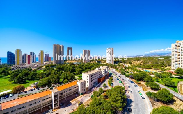 Wiederverkauf - Wohnung - Benidorm - Benidorm Centro