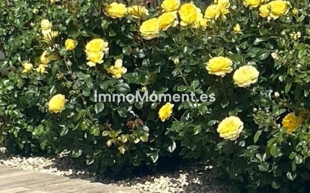 Reventa - Villa independiente - Polop - Polop Centro