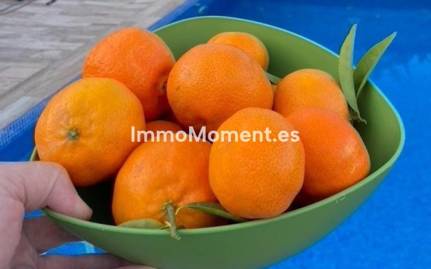 Reventa - Villa independiente - Polop - Polop Centro