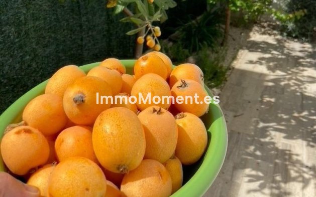 Reventa - Villa independiente - Polop - Polop Centro